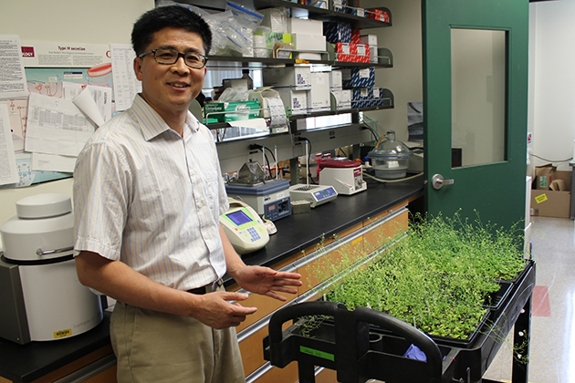 Huanzhong Wang, assistant professor in the Department of Plant Science and Landscape Architecture. (Kevin Noonan/UConn Photo)