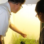 Huanzhong Wang, left, assistant professor in the Department of Plant Science and Landscape Architecture. (Kevin Noonan/UConn Photo)