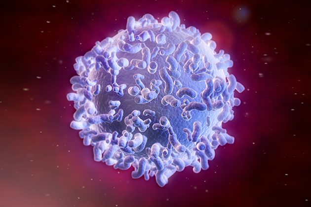 A white blood cell. Recent advances now allow researchers to effectively analyze single cells. (iStock Photo)