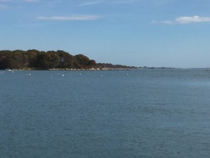 Bluff Point, seen here from UConn 's Avery Point campus, is a classic example of Connecticut 's shoreline topography, where ridges of bedrock extend into Long Island Sound. (Kim Kreiger/UConn Photo)