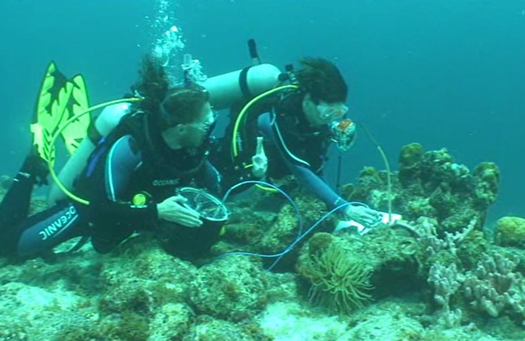 Professor Heidi Dierssen (right) and Ph.D. candidate Brandon Russell (left) use a custom-built dive spectrometer to measure the way light reflects and depolarizes the light from coral reefs in Curacao. (Jeff Godfrey/UConn Photo))