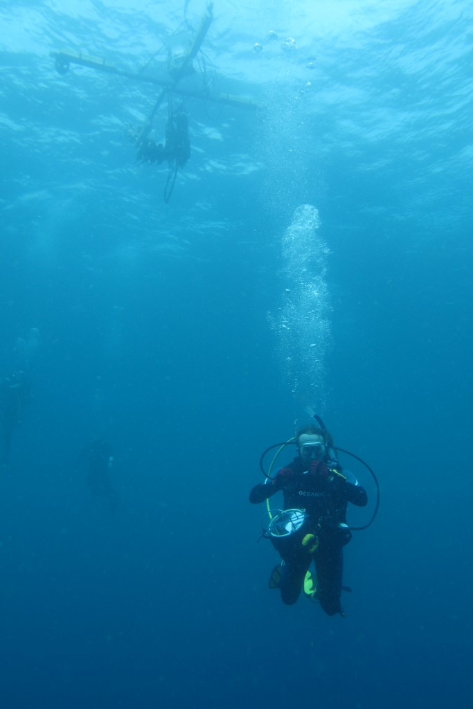 Ph.D. candidate Brandon Russell with the diver-operated spectrometer that he built. He is pictured under the robotic polarimeter spectrometer system deployed at the sea surface. (Jeff Godfrey/UConn Photo)