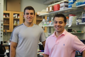 Jason Bennett (l) and Tyler Cappello, both senior molecular and cell biology majors, ahve learned not just about science research, but about responsibility and leadership through their work in Professor Li Wang's laboratory. (Christine Buckley/UConn Photo)