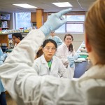 Nichole Broderick, assistant professor of molecular and cell biology gives instructions to students in a microbiology lab at the Torrey Life Sciences Building on Nov. 10, 2015. (Peter Morenus/UConn Photo)