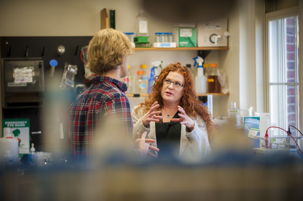  Brendan Smalec '16 (CLAS)(SFA) and Professor Rachel O'Neill discuss some of the intracies of Smlalac's research. (Sean Flynn/UConn Photo)