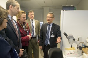 Dean of the UConn School of Medicine, Dr. Bruce Liang, describes his research to state lawmakers during a tour of his lab. (Tina Encarnacion/UConn Health)