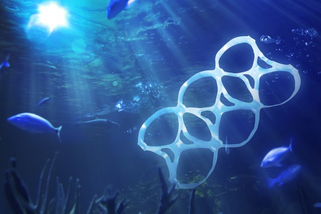 The State of the World’s Oceans