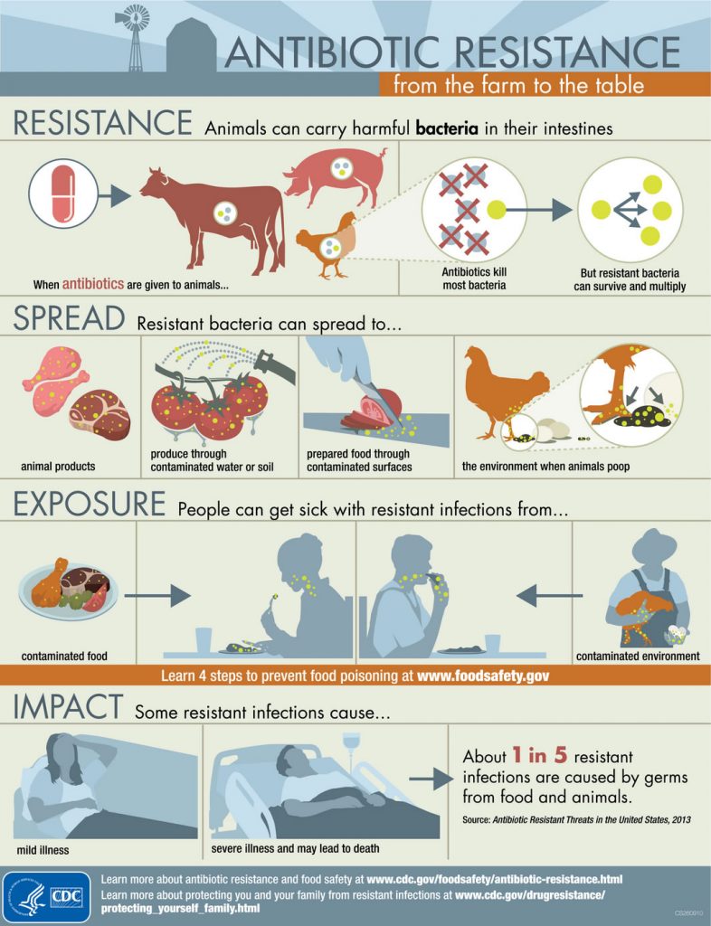 A poster from the Centers for Disease Control showing various methods of transfer of resistant organisms from food-producing animals to humans. (Used with permission from www.cdc.gov)