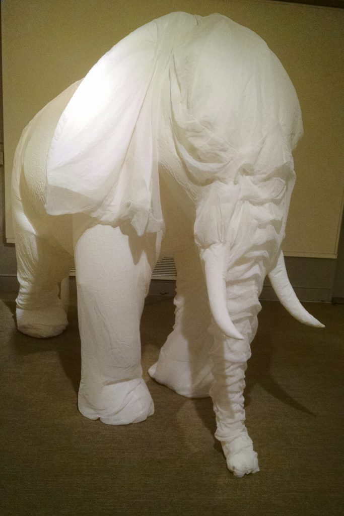 'White elephant 1,' 2007, ripstop nylon, chiffon, electric fan, by Billie Grace Lynn. (Ken Best/UConn Photo)