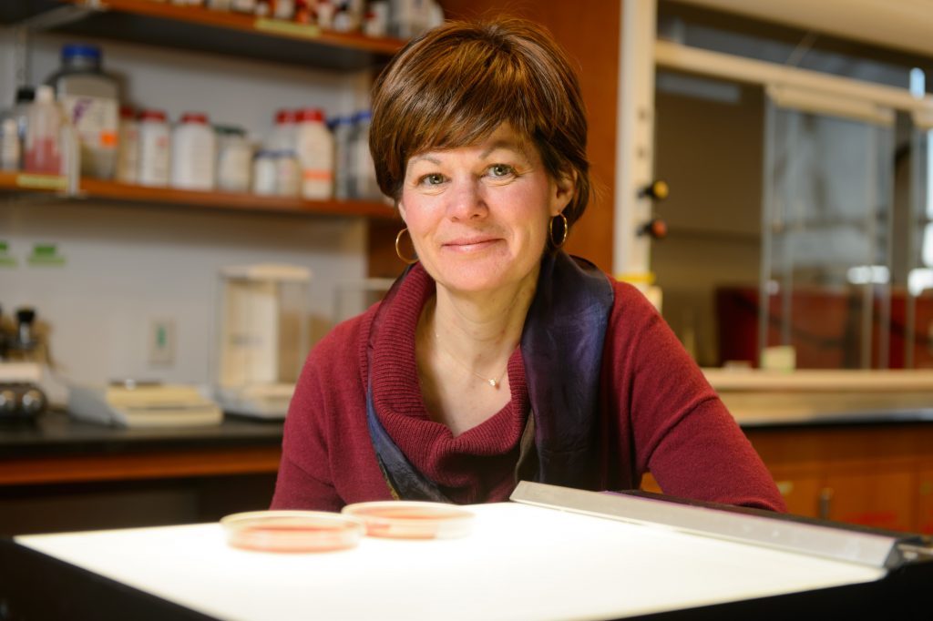 Amy Anderson with bacteria on plates on Jan. 23, 2015. (Peter Morenus/UConn Photo)