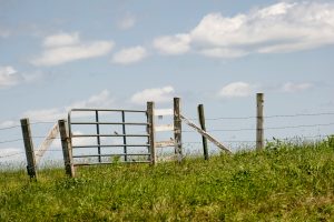 Field gate on horse barn hill on July 20, 2016. (Sean Flynn/UConn Photo)