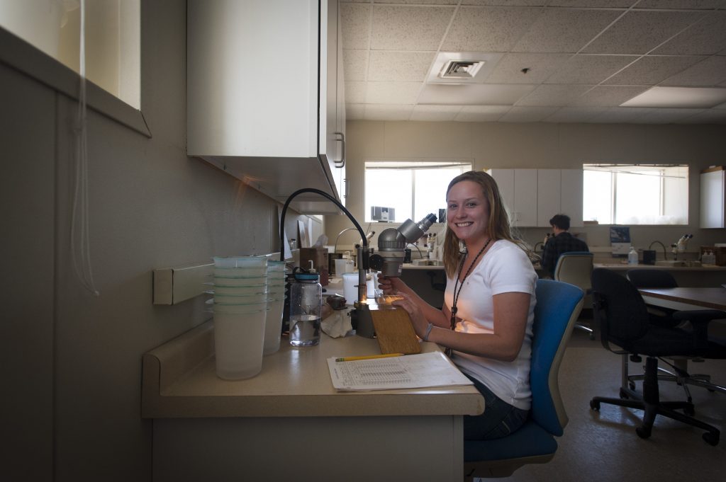Hannah Casey '18 (CLAS) studies the eggs and larvae of aquatic species in the Millstone Environmental Lab as part of her internship. (Sean Flynn/UConn Photo)