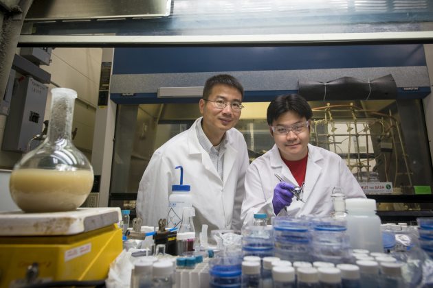 Novel Smart Materials Inspired by Sea Creatures