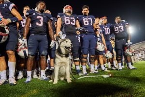 Football players gather at the end of the field with Jonathan XIV after winning at Pratt & Whitney Stadium at Rentschler Field on Sept. 1, 2016. (Peter Morenus/UConn Photo)
