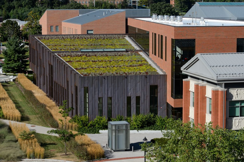 A view of the green roof of Laurel Hall on Sept. 4, 2013. (Peter Morenus/UConn Photo)