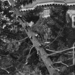 Hurricane_of_1938_ damage_on_campus(1)