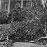 Hurricane_of_1938_ damage_on_campus_(2)