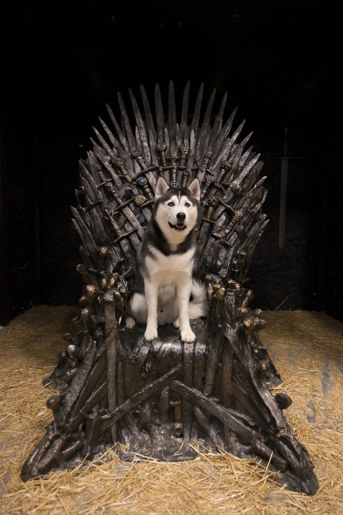 Jonathan XIV also took a turn on the Iron Throne. (Angelina Reyes/UConn Photo)