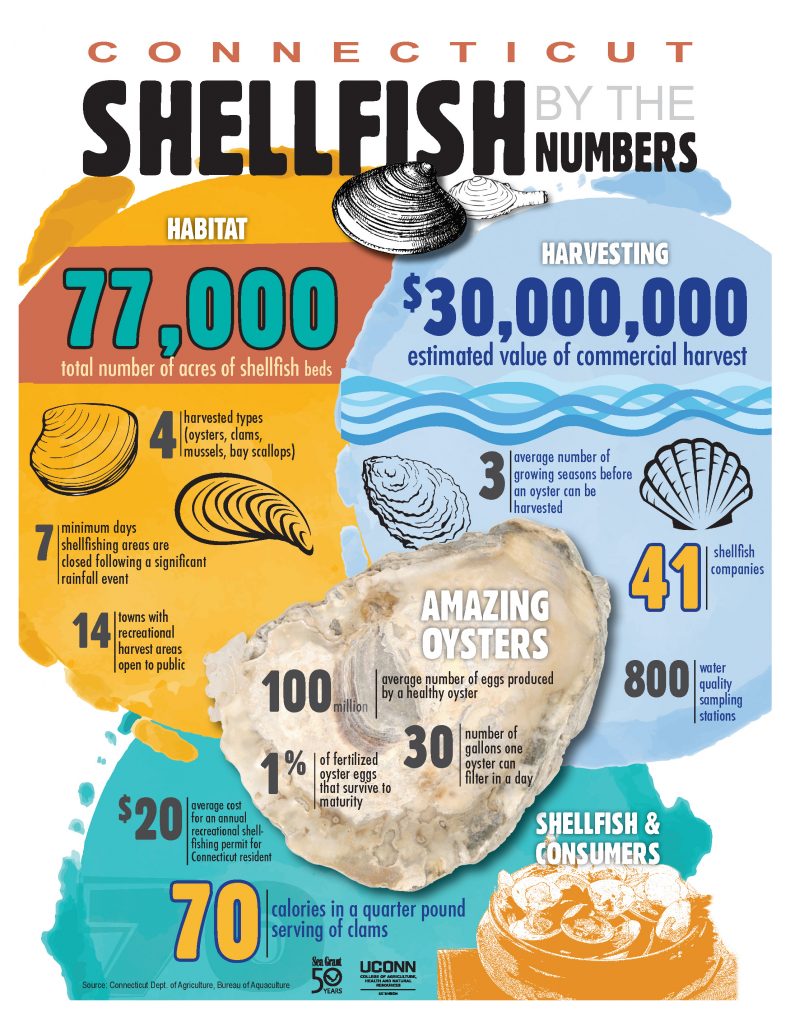 CT Shellfish by the Numbers. (Illustration courtesy of UConn College of Agriculture, Health, and Natural Resources) 