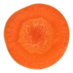 carrot cross section
