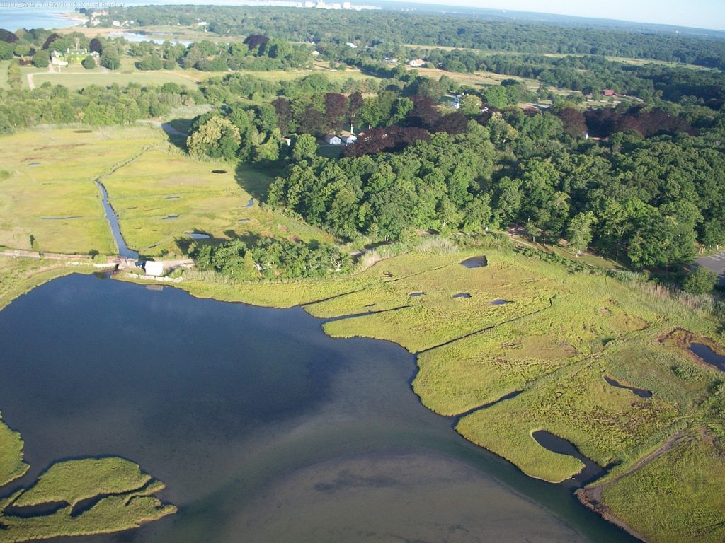 Because tidal marshes were once seen as wasted land that could be put to better use, many were used as landfills, filled for development or excavated for marinas and ports.