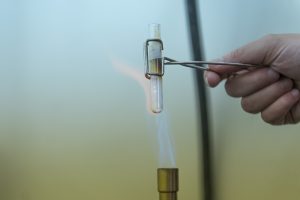 Student heating chemicals for a chemistry experiment on Dec. 1, 2016. (Sean Flynn/UConn Photo)