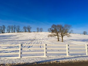 Horsebarn hill after a day of sledding on Jan. 9, 2017. (Sean Flynn/UConn Photo)