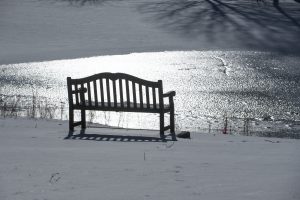 An empty bench at Swan Lake on Jan. 9, 2017. (Sean Flynn/UConn Photo)