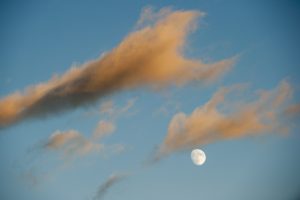 The moon during sunset on Nov. 11, 2016. (Sean Flynn/UConn Photo)