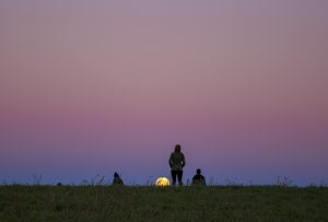 The 'supermoon' rises over Horsebarn Hill on Nov. 13, 2016. The next time the full moon will come this close to Earth will be in November 2034. (Ryan Glista/UConn Photo)