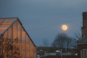 Moon rising over Horsebarn hill on Jan. 11, 2017. (Sean Flynn/UConn Photo)