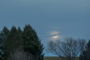 Moon rising over horsebarn hill on Jan. 11, 2017. (Sean Flynn/UConn Photo)