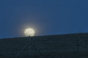 Moon rising over horsebarn hill on Jan. 11, 2017. (Sean Flynn/UConn Photo)