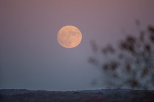 The 'supermoon' rising over Horsebarn Hill on Nov. 13, 2016. Supermoon is a term used to describe a full moon at its closest point to Earth during the lunar orbit. (Sean Flynn/UConn Photo)