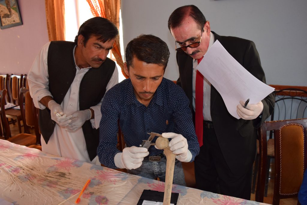 Physicians for Human Rights partners from the Afghanistan Forensic Science Organization take part in a grave exhumation exercise in Bamyan province, Afghanistan. (Physicians for Human Rights Photo)