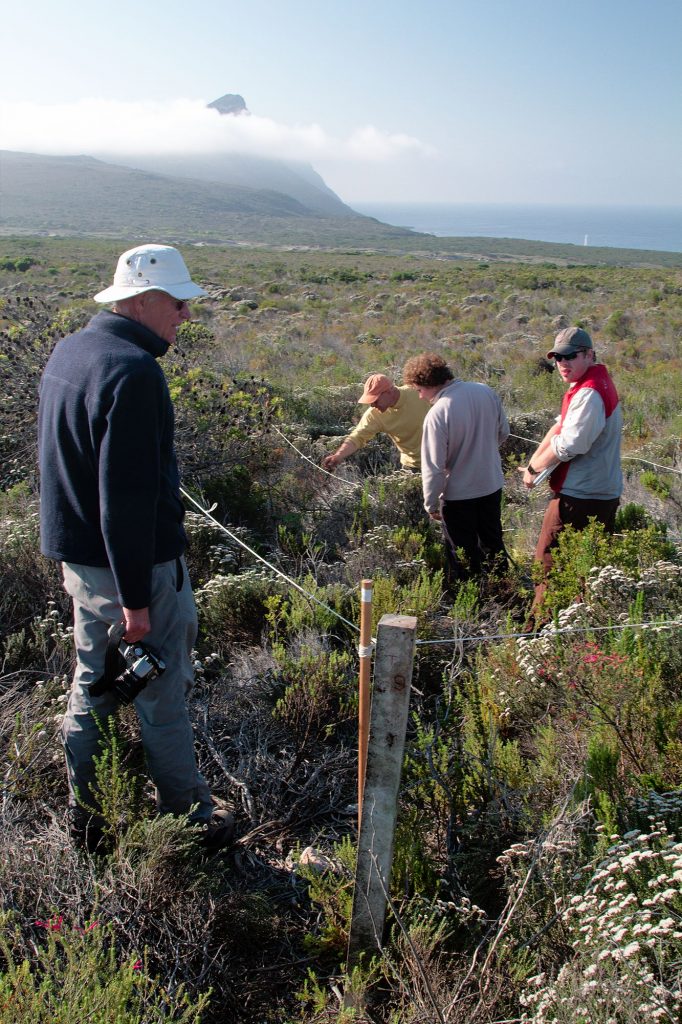 From left, John Silander, Ross Turner, Stuart Hall and Cory Merow facing the Cape of Good Hope while conducting research in the field.