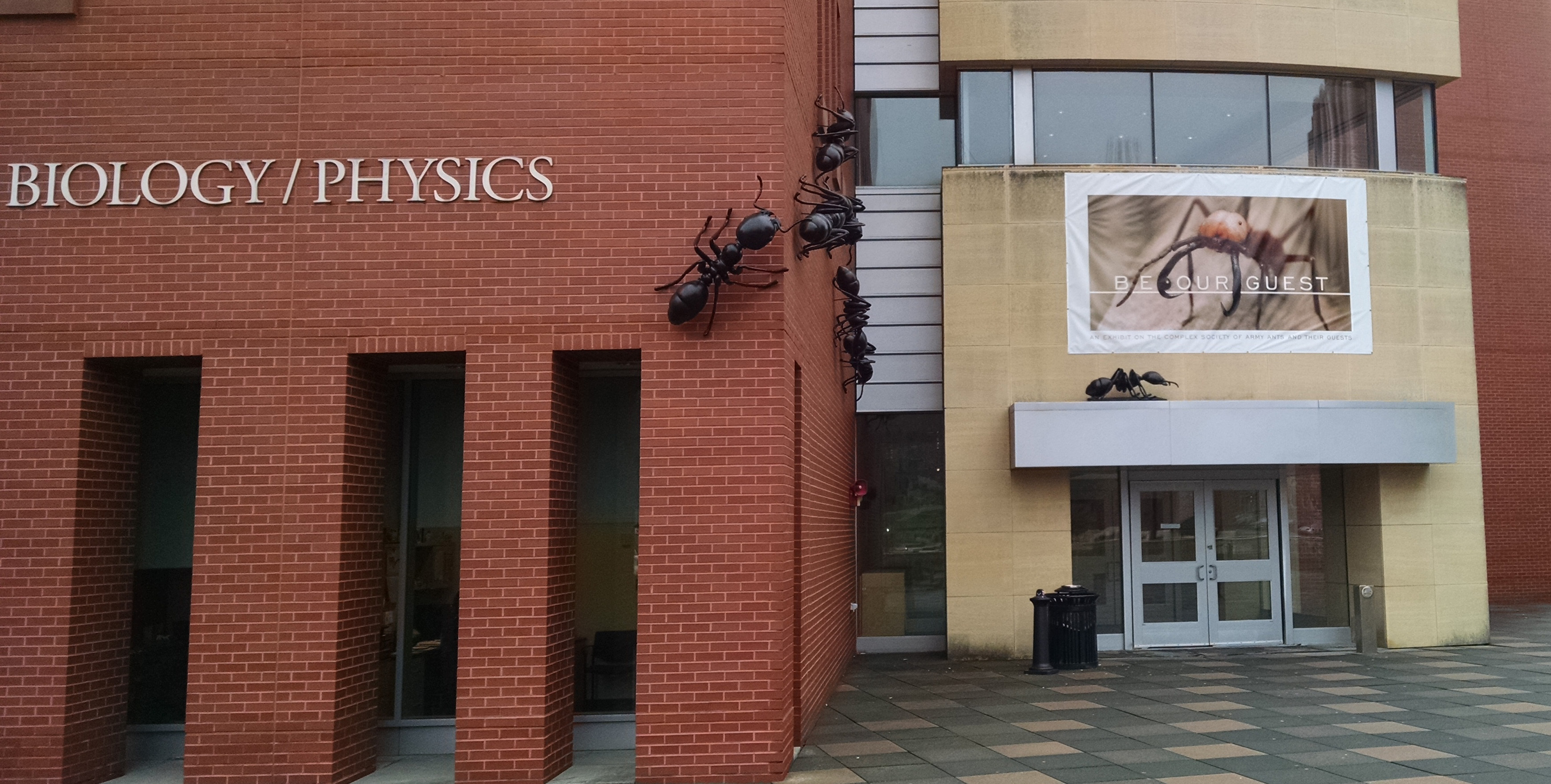The entrance to the Biology/Physics Building. (Ken Best/UConn Photo)