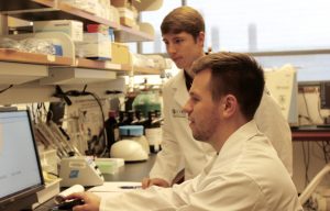 Brendan Clark '17 (Pharm; CLAS) - seated - and Tyler Ackley '17 (Pharm; CLAS) compare notes in the lab. (Sheila Foran/UConn Photo)