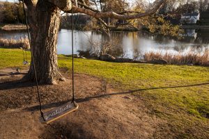 A swing with gratitude carved into the seat at Mirror Lake. (Sean Flynn/UConn Photo)