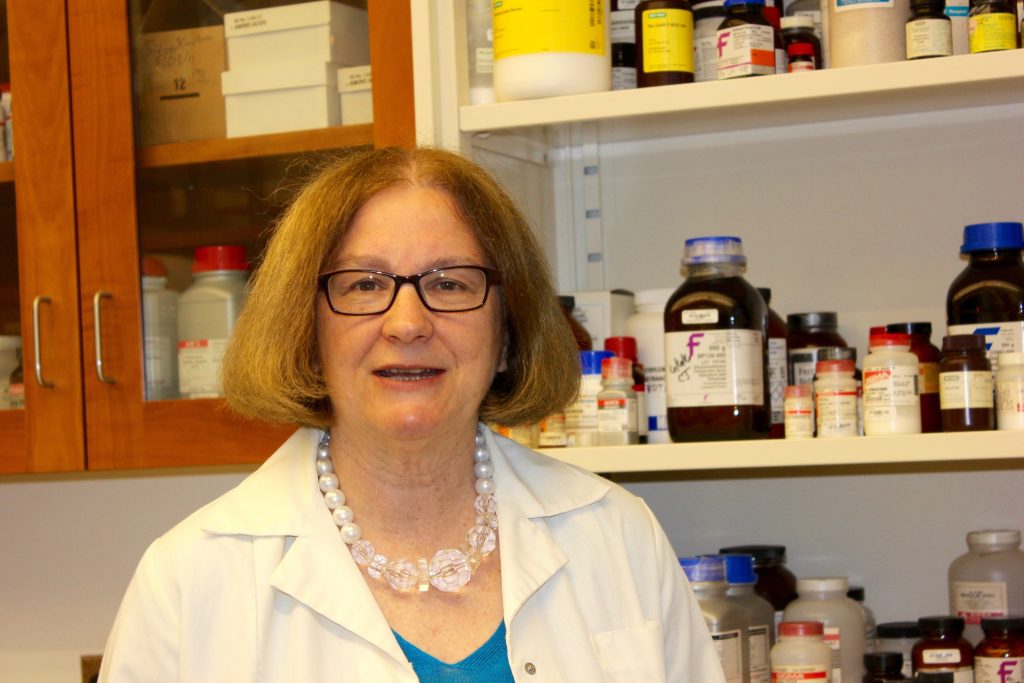 Debra Kendall, Board of Trustees Distinguished Professor in Medicinal Chemistry in the School of Pharmacy. (Sheila Foran/UConn Photo)