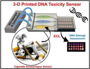 Small 3-D printed array created by University of Connecticut chemists quickly detects potential DNA damage from toxic chemicals. Credit: Karteek Kadimisetty and the journal ACS Sensors.