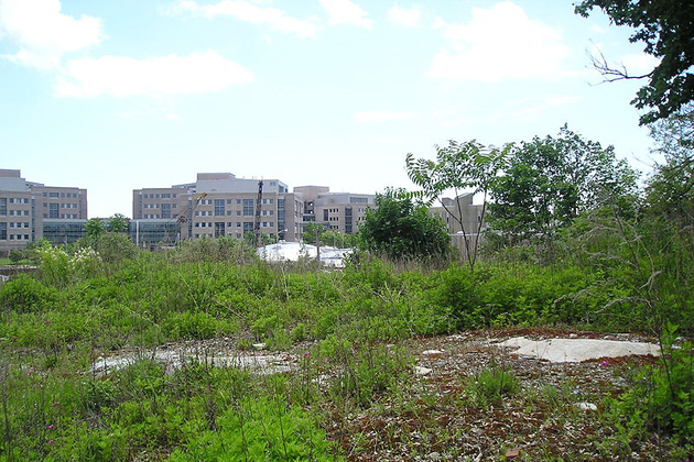 The Fort Trumbull neighborhood of New London that was the subject of a controversial U.S. Supreme Court decision on eminent domain is now overgrown. (Creative Commons image)