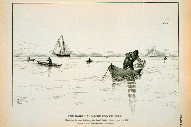 Hand-line dory cod fishing on the Grand Bank. (Drawing by H.W. Elliott and Capt. J.W. Collins. Image from the NOAA National Marine Fisheries Service, Historic Fisheries Collection.)