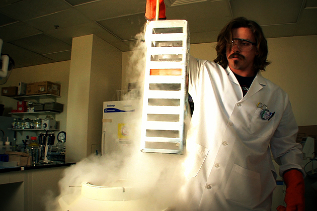 A UConn Health Center lab technician pulling stem cells out of a tank of liquid nitrogen.
