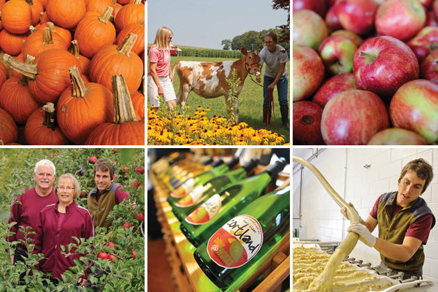Photo collage representing Growing the Farm Economy in Connecticut