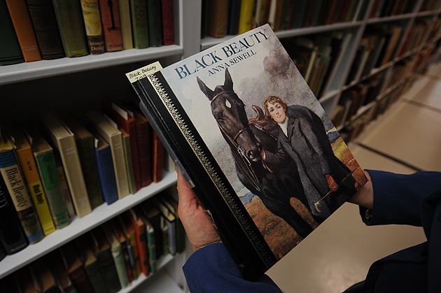 Terri Goldich holds a copy of "Black Beauty" while standing in the stacks at the Thomas J. Dodd Research Center on Dec. 20, 2011. (Peter Morenus/UConn Photo)