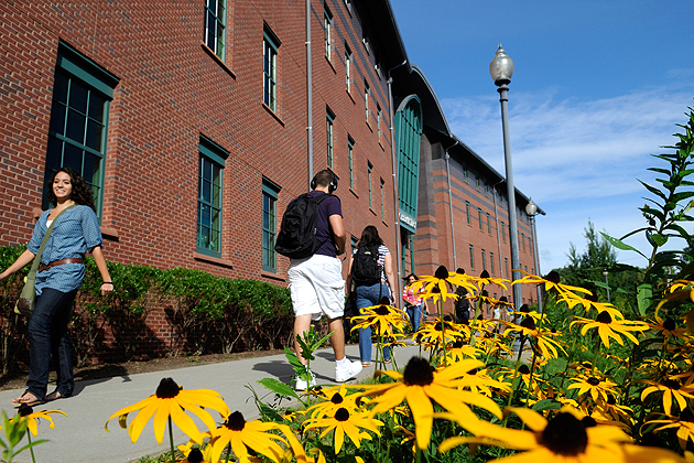 Students walk along the sidewalk near a patch of daisies in front of the Chemistry Building. (Peter Morenus/UConn Photo)