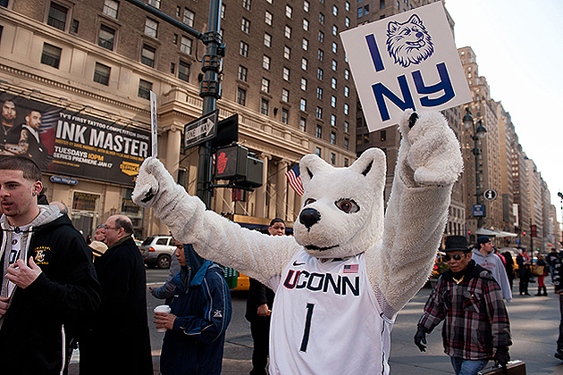 Jonathan the husky greets New Yorkers outside Madison Square Garden before the men's basketball game against DePaul on March 6, 2012. UConn won 81-67. (Peter Morenus/UConn Photo)