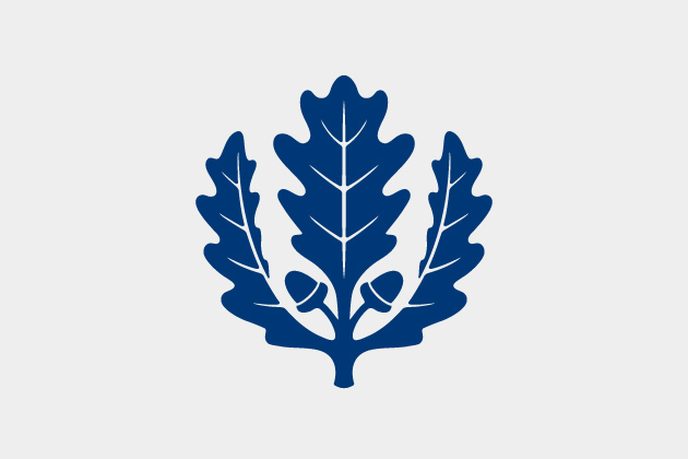 Oak Leaf Gray - UConn Logo