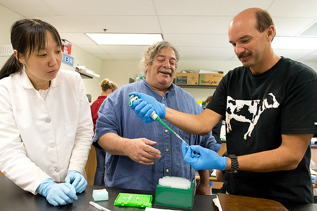Bill Davenport '85 (CANR), '86 MS, right, a teacher at Nonnewaugh High School in Woodbury, gets some advice on using a micropipette from Yi Ma, left, a post-doctoral fellow, and Gerald Berkowitz, professor of plant science and landscape architecture on June 28, 2012. (Peter Morenus/UConn Photo)